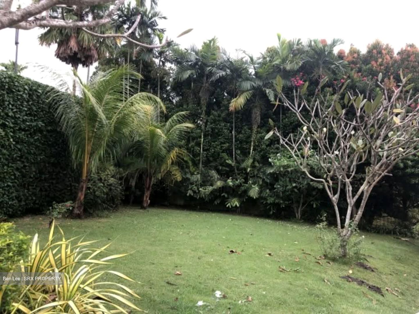 Peirce Road (D10), Detached #539239021